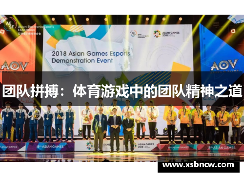 团队拼搏：体育游戏中的团队精神之道