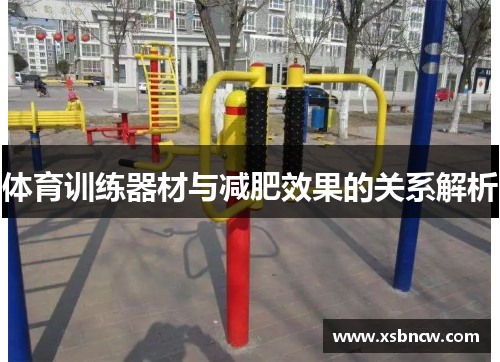 体育训练器材与减肥效果的关系解析
