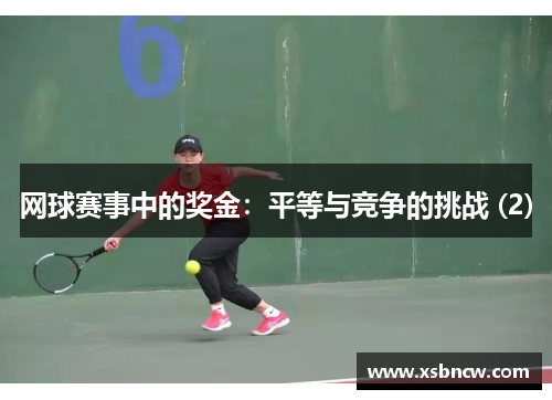 网球赛事中的奖金：平等与竞争的挑战 (2)