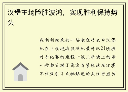 汉堡主场险胜波鸿，实现胜利保持势头