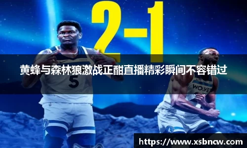 黄蜂与森林狼激战正酣直播精彩瞬间不容错过